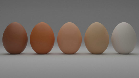 Olika källor till protein