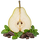 Kaseinprotein päron & mintchoklad