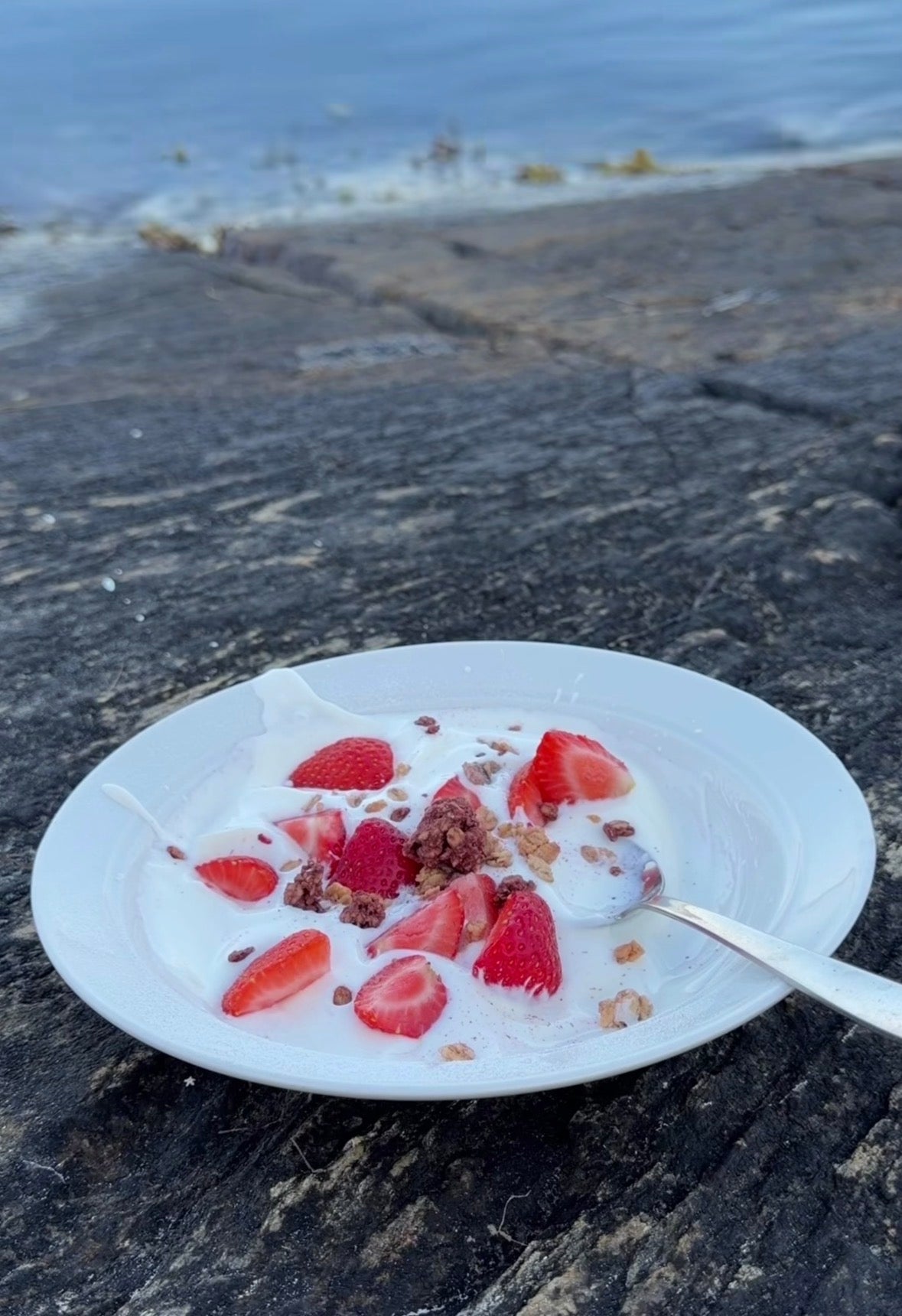 Kaseinprotein päron & mintchoklad